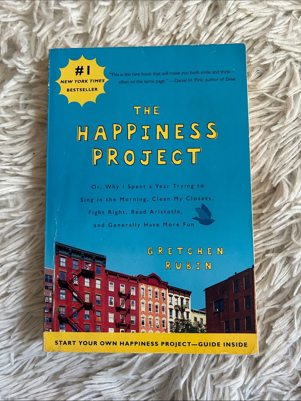 The Happiness Project by Gretchen Rubin - Blue & Yellow Paperback